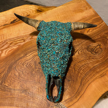 Lade das Bild in den Galerie-Viewer, Cowskull - Original US-Import „Turquoise allover“
